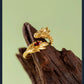 Empress Xiaoduan's Phoenix Crown and Dragon Ring